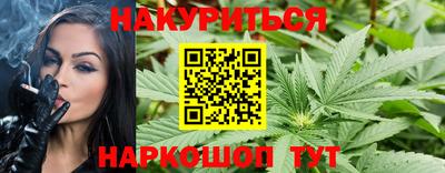гашик Дубна