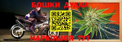 гашик Дубна