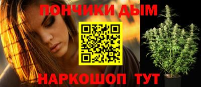 гашик Дубна