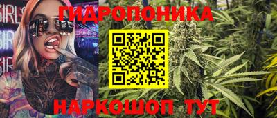 стаф Донской