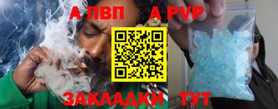 стаф Донской